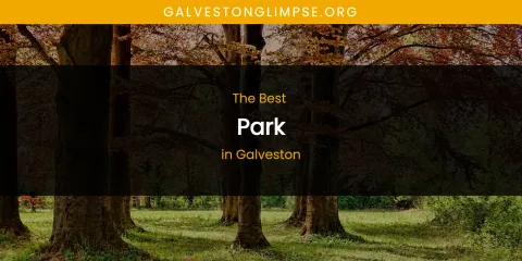 The Absolute Best Park in Galveston