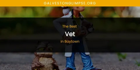 The Absolute Best Vet in Baytown
